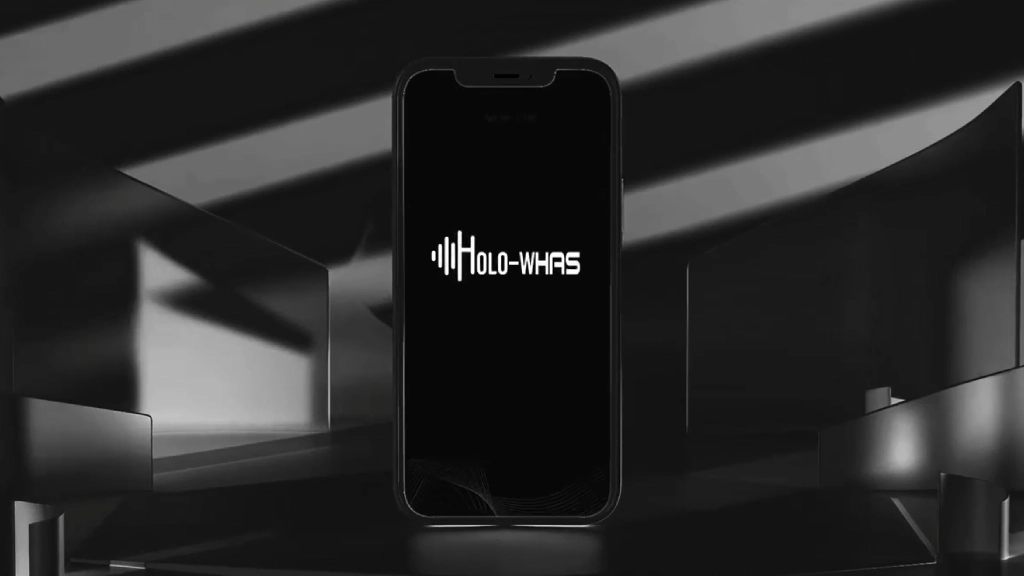 How to set up HOLO-WHAS