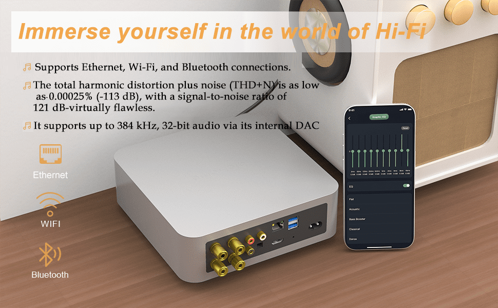 HoloHome Streamer Plus Supports multiple audio formats for USB content playback