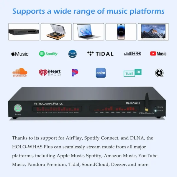 HOLOWAHS Plus GC Multiroom Streaming Amplifier 2