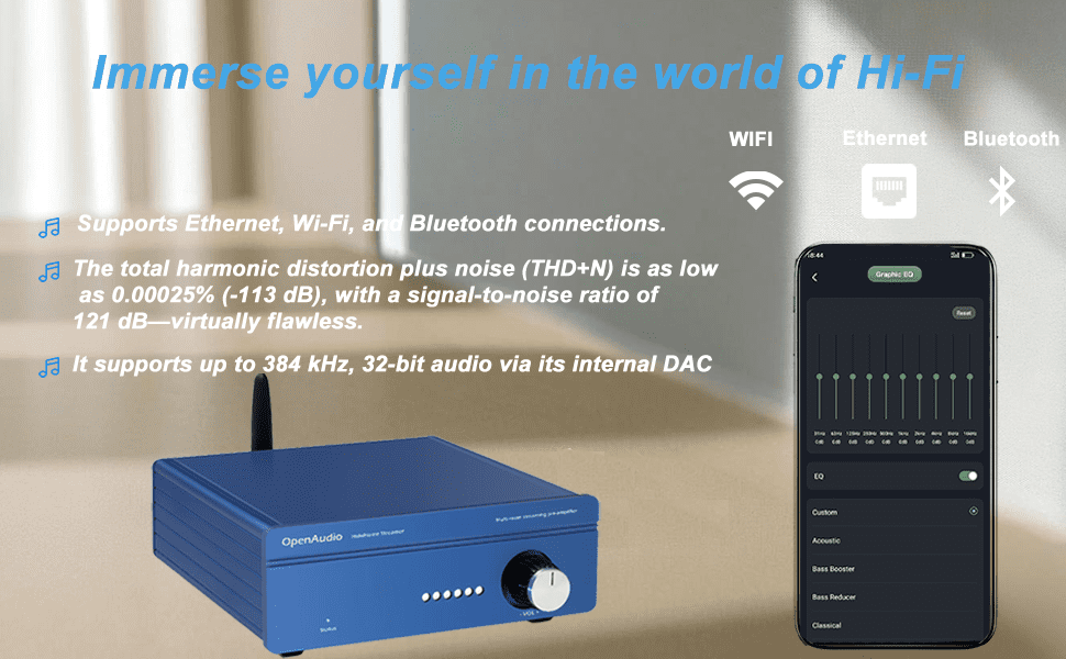 Immerse yourself in the world of Hi-Fi audio with HoloHome Streamer