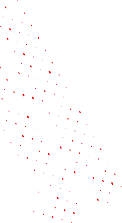 banner-shape